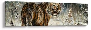 Obraz - Tygrys w zaśnieżonym lesie, obraz olejny (170x50 cm)