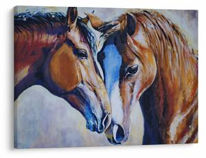 Obraz - Zakochane konie (70x50 cm)