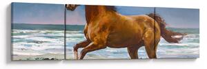 Obraz konia na plaży (170x50 cm)
