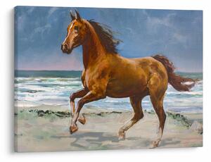 Obraz konia na plaży (70x50 cm)