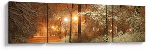 Obraz - Zaśnieżony park (170x50 cm)