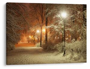 Obraz - Zaśnieżony park (70x50 cm)