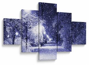 Obraz - Magiczna zimowa noc (125x70 cm)