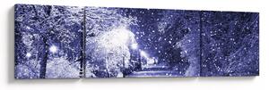 Obraz - Magiczna zimowa noc (170x50 cm)