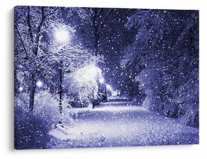 Obraz - Magiczna zimowa noc (70x50 cm)