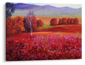 Obraz czerwonego krajobrazu (70x50 cm)