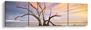 Obraz drzewa w oceanie (170x50 cm)