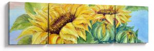 Obraz kwitnących słoneczników (170x50 cm)