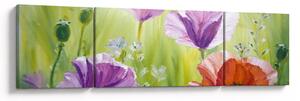 Obraz - Maki (170x50 cm)