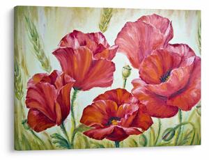 Obraz - Kwiaty maku (70x50 cm)