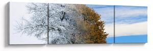 Obraz - Zmiana pór roku (170x50 cm)