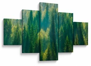 Obraz - Las sosnowy (125x70 cm)