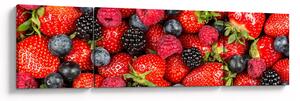 Obraz - Ładunek owoców (170x50 cm)