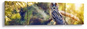 Obraz sowy na drzewie (170x50 cm)