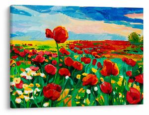 Obraz pola z makami (70x50 cm)
