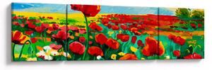 Obraz pola z makami (170x50 cm)