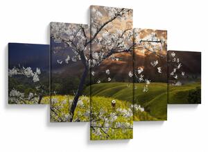 Obraz - Kwitnące drzewo w krajobrazie (125x70 cm)