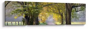 Zdjęcie - Smoky Mountains, Gatlinburg, USA (170x50 cm)