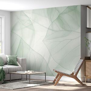 Fototapety Abstrakcyjne żyłki liści, Tapety Wyjątkowe, w05474 : Uwalls.pl