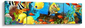 Obraz - Kolorowa rafa koralowa (170x50 cm)