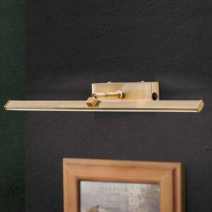 ORION Lampka LED Suren do oświetlenia obrazów, 50 cm