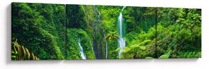 Obraz - Wodospady Madakaripura, Jawa Wschodnia, Indonezja (170x50 cm)