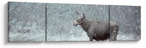 Obraz - Łoś w śnieżnym lesie (170x50 cm)