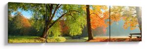 Obraz - Spokojny jesienny krajobraz (170x50 cm)