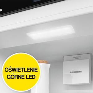 Lodówka LIEBHERR KGNsf 57Va03 No Frost 201.5cm Srebrna