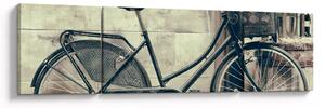 Obraz - Vintage rower z kwiatami (170x50 cm)