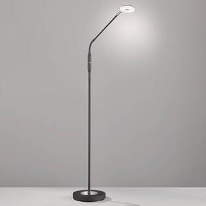 FISCHER & HONSEL Lampa stojąca Dent, ściemniana, CCT, 1-pkt. czarna
