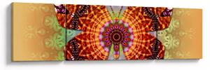 Obraz - Etno motyl (170x50 cm)