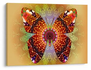 Obraz - Etno motyl (70x50 cm)