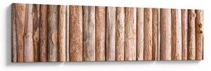 Obraz - Bambus (170x50 cm)