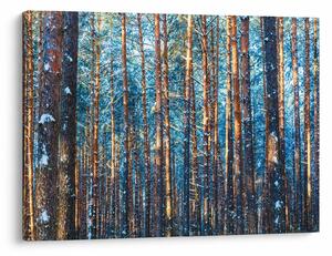 Obraz - Zimowy las (70x50 cm)