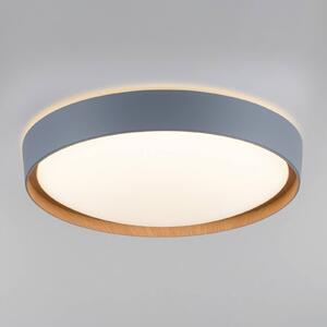 Q-Smart-Home Paul Neuhaus Q-EMILIA sufitowa LED, szara/drewno