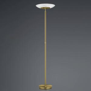 HELL Lampa stojąca LED Findus, możliwość ściemniania, brązowy / mosiężny, salon / jadalnia, metal, nowoczesny