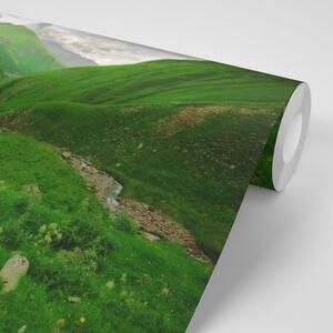 Samoprzylepna fototapeta zielona kraina
