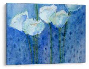 Obraz - Białe tulipany (70x50 cm)