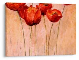 Obraz - Czerwone tulipany (70x50 cm)