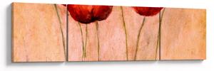 Obraz - Czerwone tulipany (170x50 cm)