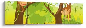 Obraz - Małpy (170x50 cm)