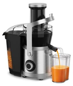 Sokowirówka TEFAL Nutri XXL ZE660D10