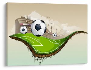 Obraz - Boisko do piłki nożnej (70x50 cm)