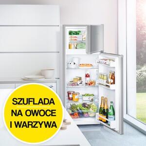 Lodówka LIEBHERR CTPELE 231 140.1cm Srebrna