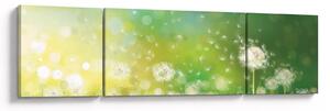 Obraz - Kwitnące mlecze (170x50 cm)