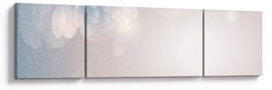 Obraz - Zaśnieżone kwiaty (170x50 cm)