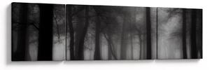 Obraz - Las we mgle (170x50 cm)