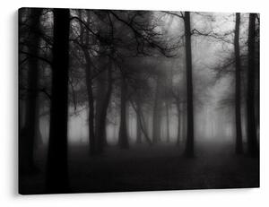 Obraz - Las we mgle (70x50 cm)