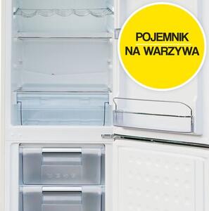 Lodówka RAVANSON LKK-250RC Retro 184.3cm Kremowa